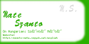 mate szanto business card